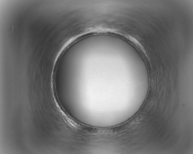 X0000059231183200510140818