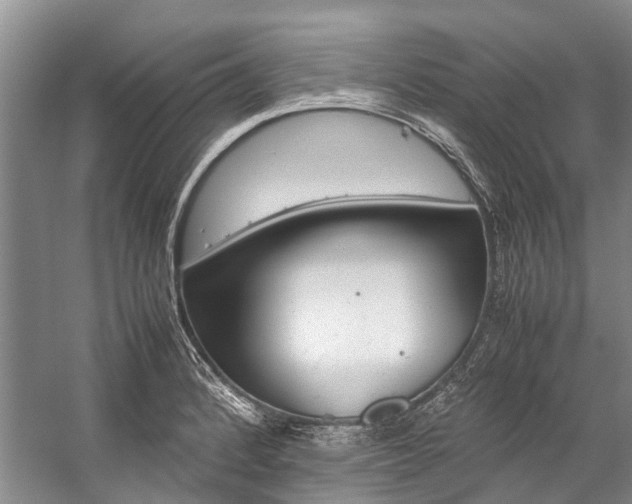 X0000059231184200510140818
