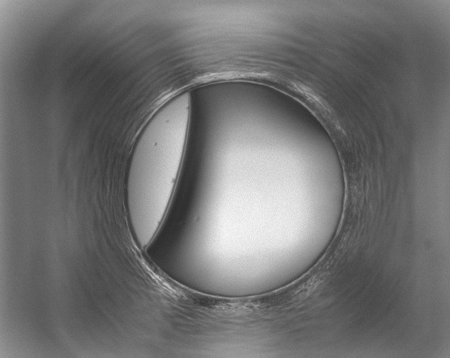 X0000059231185200510140818