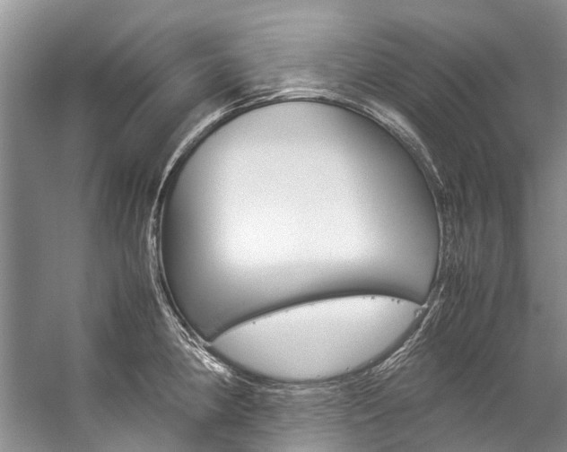 X0000059231190200510140818