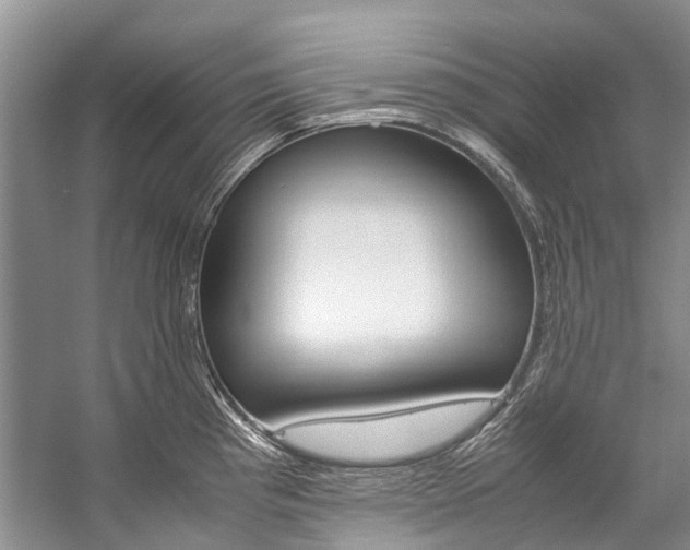 X0000059231193200510140818