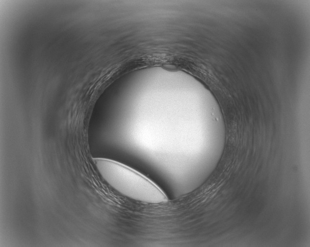 X0000059231201200510140817