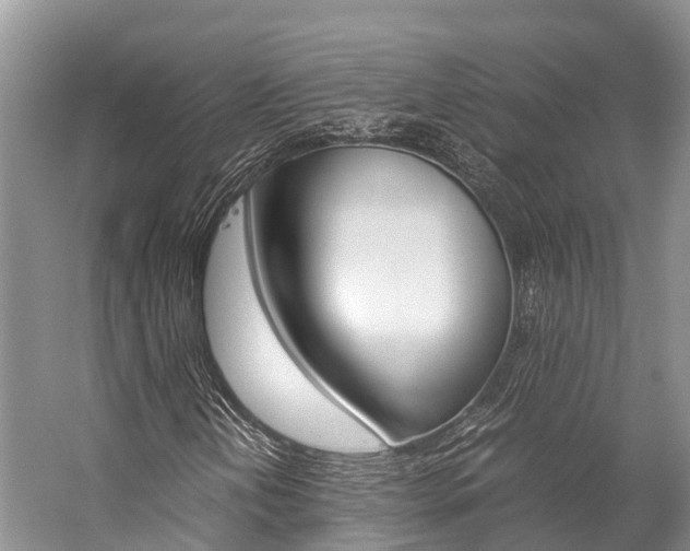 X0000059231202200510140817