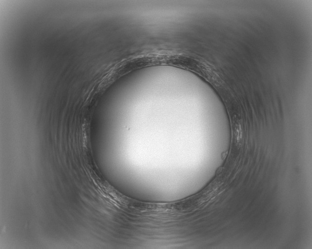 X0000059231204200510140817