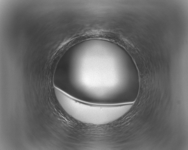 X0000059231206200510140817