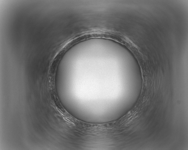 X0000059231208200510140817