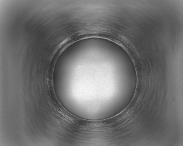 X0000059231210200510140817