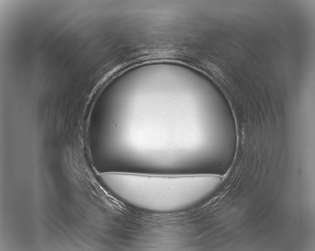 X0000059231212200510140817