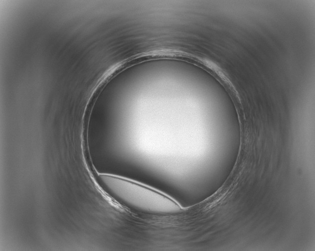 X0000059231237200510140818