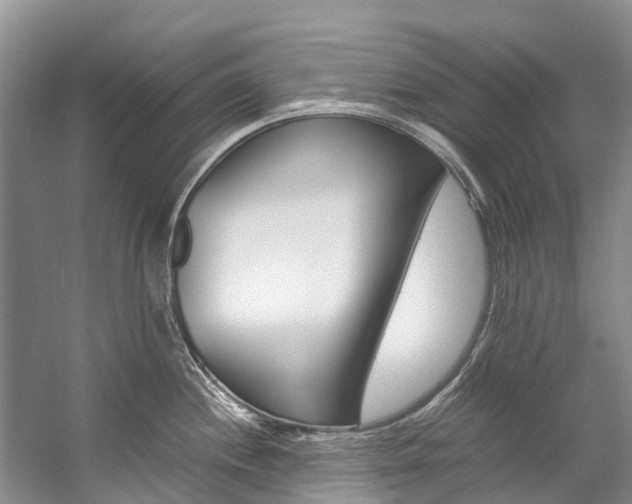 X0000059231244200510140818