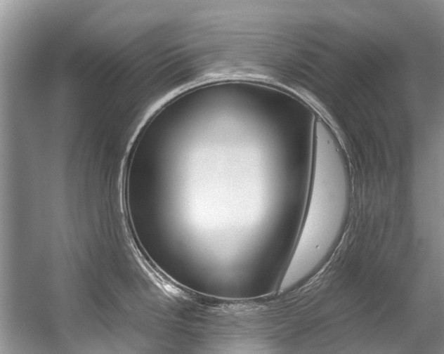 X0000059231246200510140818
