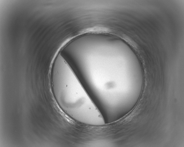 X0000059231248200510140818