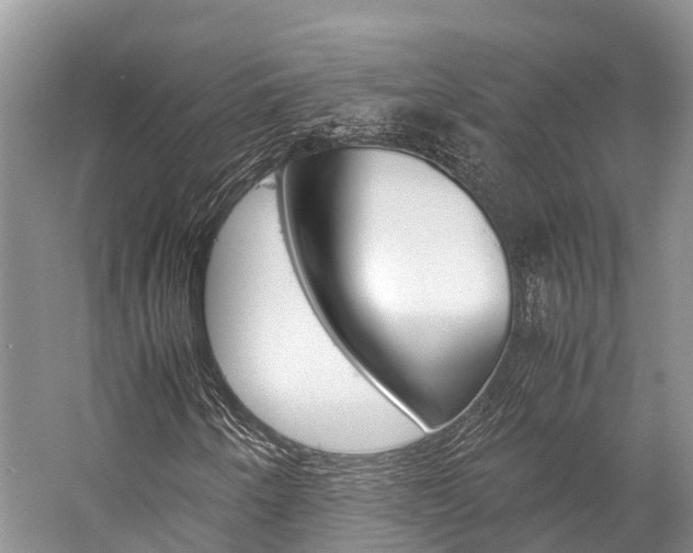 X0000059231250200510140817