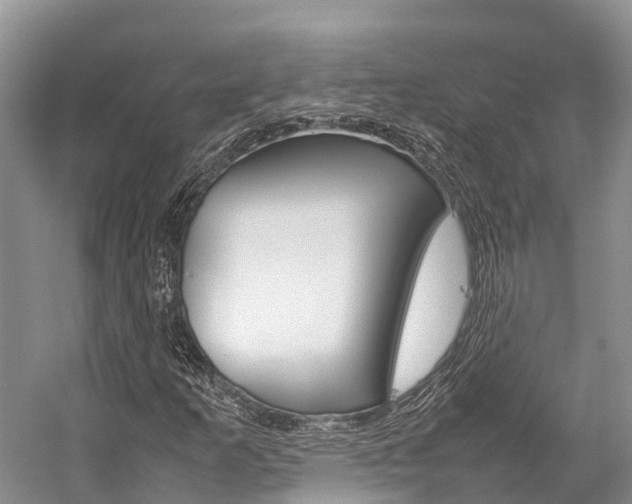 X0000059231253200510140817