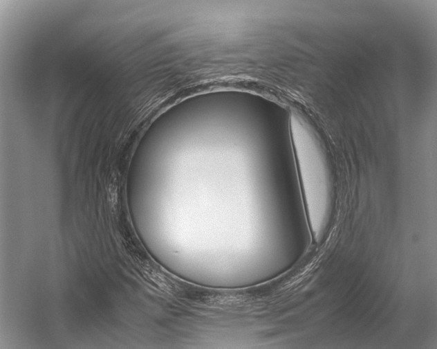 X0000059231257200510140817