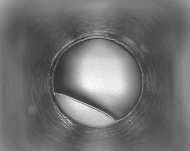 X0000059231260200510140817