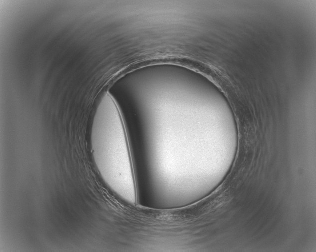 X0000059231265200510140817