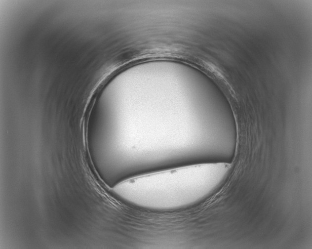X0000059231275200510140817
