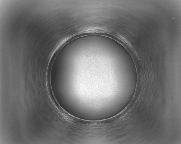 X0000059231277200510140817