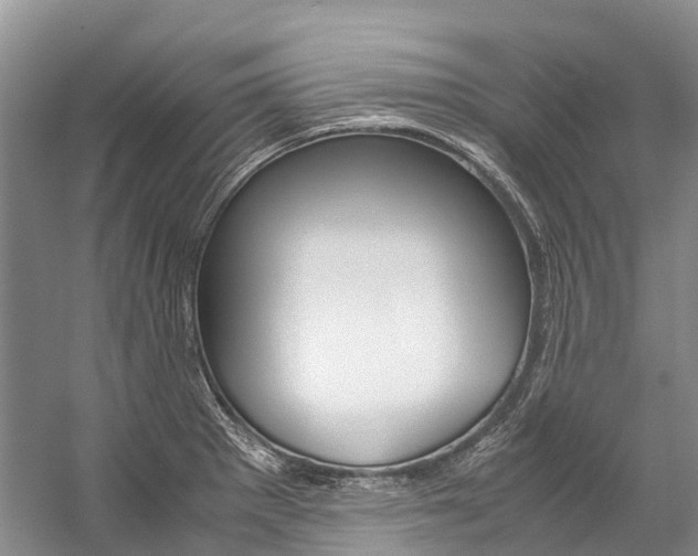 X0000059231281200510140817