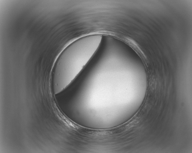 X0000059231292200510140816