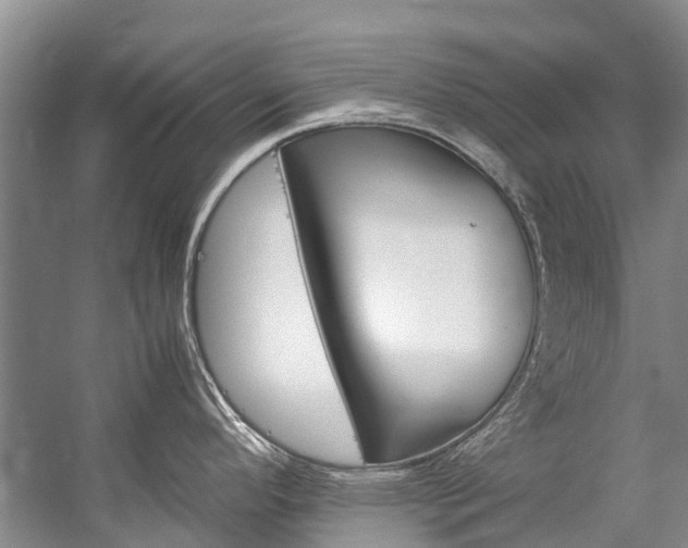 X0000059231296200510140816