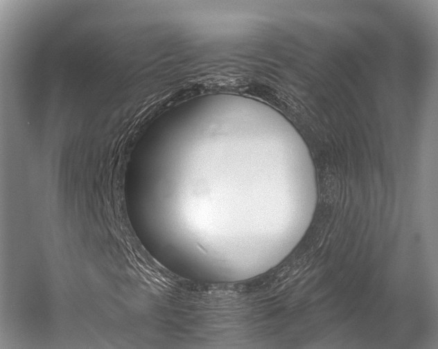 X0000059231297200510140815