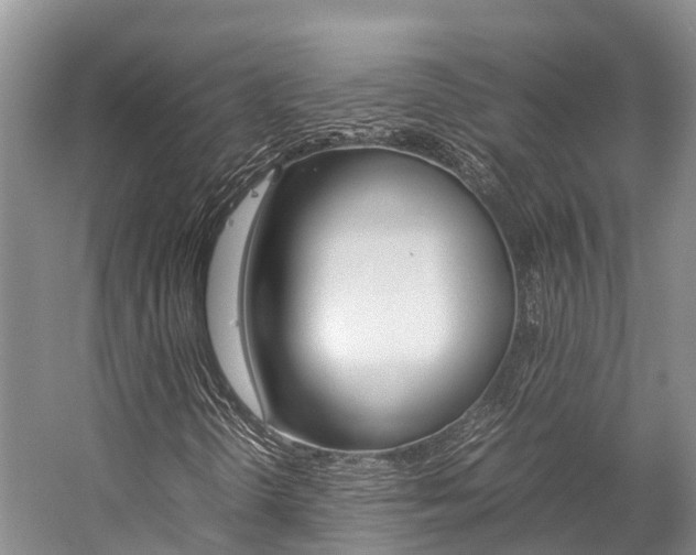 X0000059231298200510140815