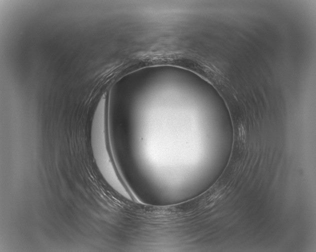 X0000059231300200510140815