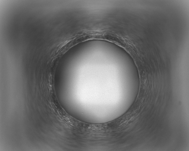 X0000059231301200510140815