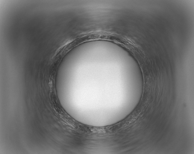 X0000059231302200510140816
