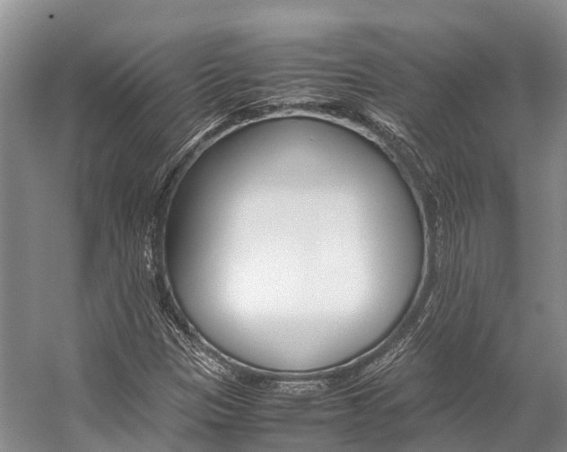 X0000059231305200510140816
