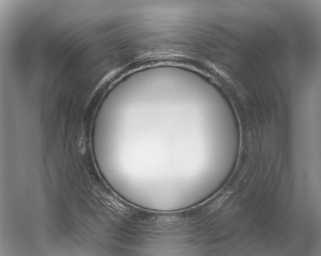X0000059231306200510140816