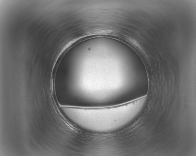 X0000059231324200510140816