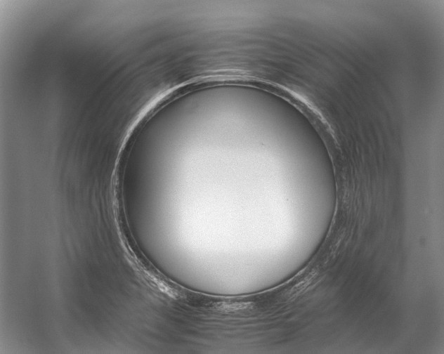 X0000059231325200510140816