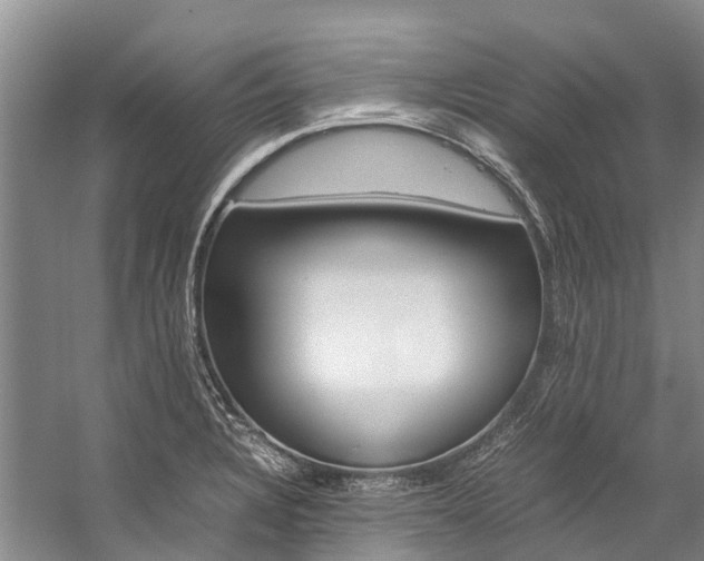 X0000059231328200510140816