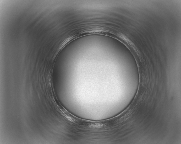X0000059231329200510140816