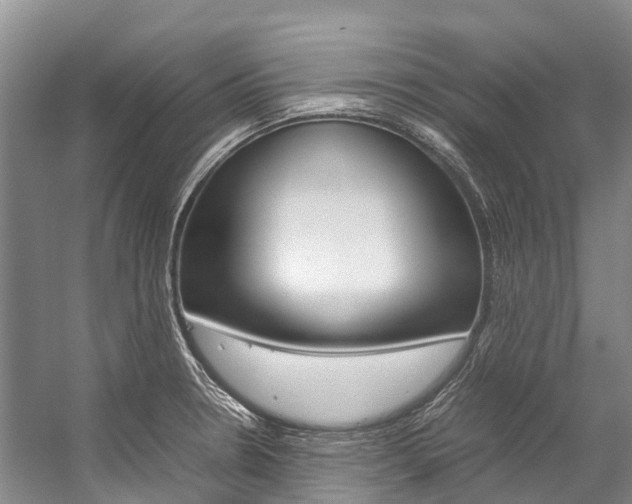 X0000059231330200510140816