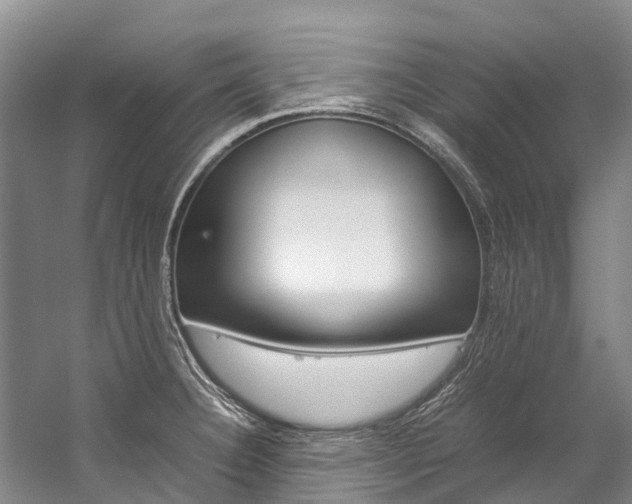 X0000059231332200510140816