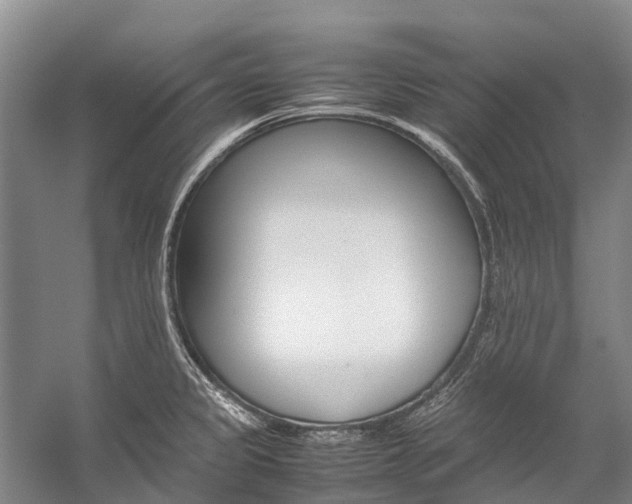 X0000059231333200510140816