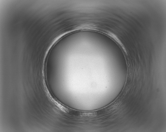 X0000059231339200510140816