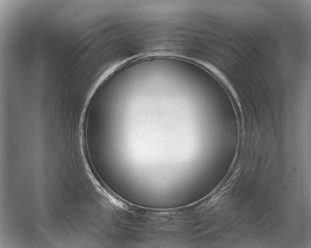 X0000059231341200510140816