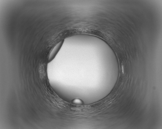 X0000059231347200510140815