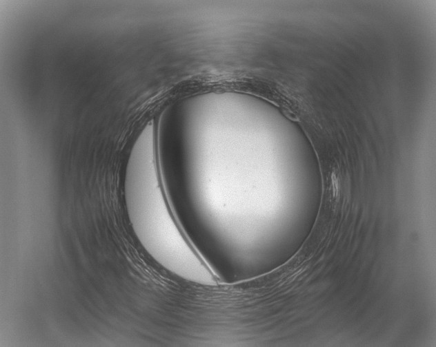 X0000059231348200510140815