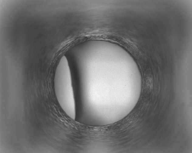 X0000059231350200510140815