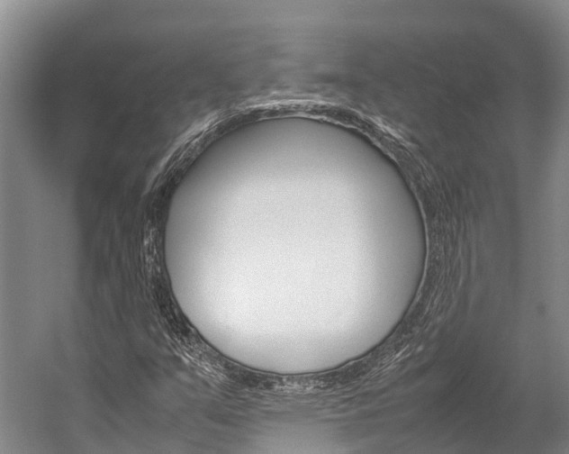 X0000059231351200510140815