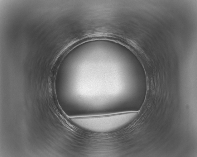 X0000059231356200510140815