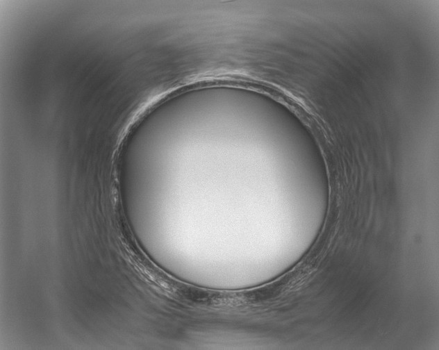 X0000059231363200510140815
