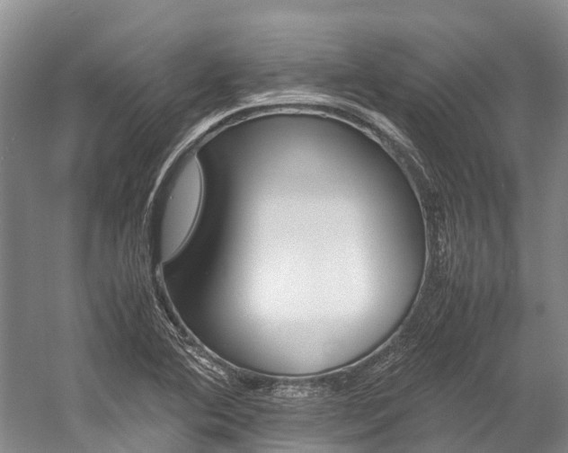 X0000059231364200510140815