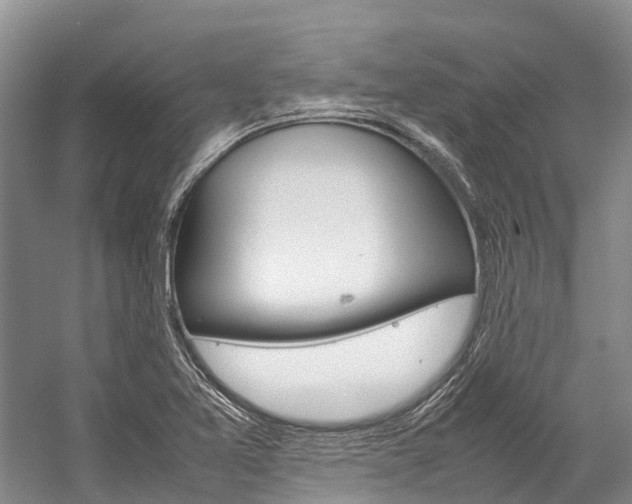 X0000059231365200510140815